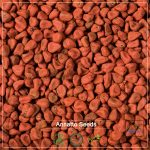 Annatto Seeds