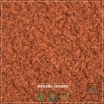 Annatto Powder