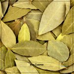 Bay Leaves