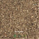 Blue Cohosh Root