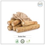 Burdock Root
