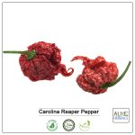 Carolina Reaper Pepper