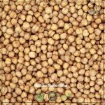 Chickpeas Roasted (Salted)