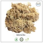 Golden Sea Moss