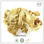 Oyster Mushroom