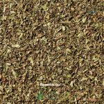 Peppermint Leaf