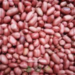 Redskin Peanuts