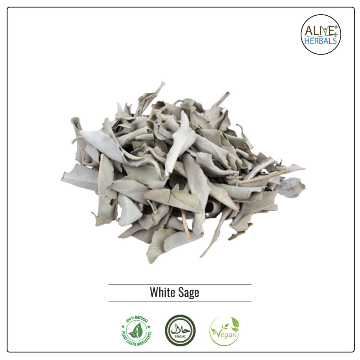 White Sage - Image 1
