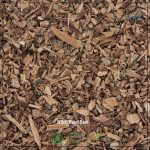 Witch Hazel Bark