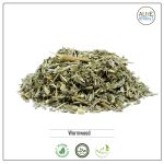 Wormwood