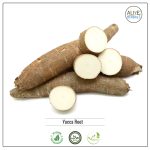 Yucca Root